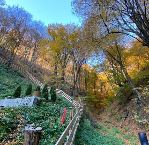 تختخواب و صبحانه Căsuța Din Pădure
