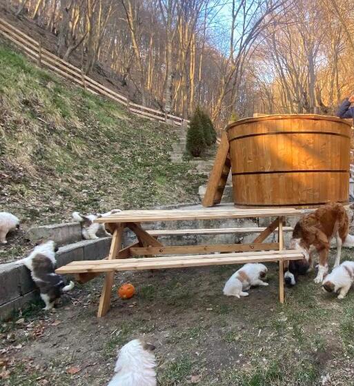 تختخواب و صبحانه Căsuța Din Pădure