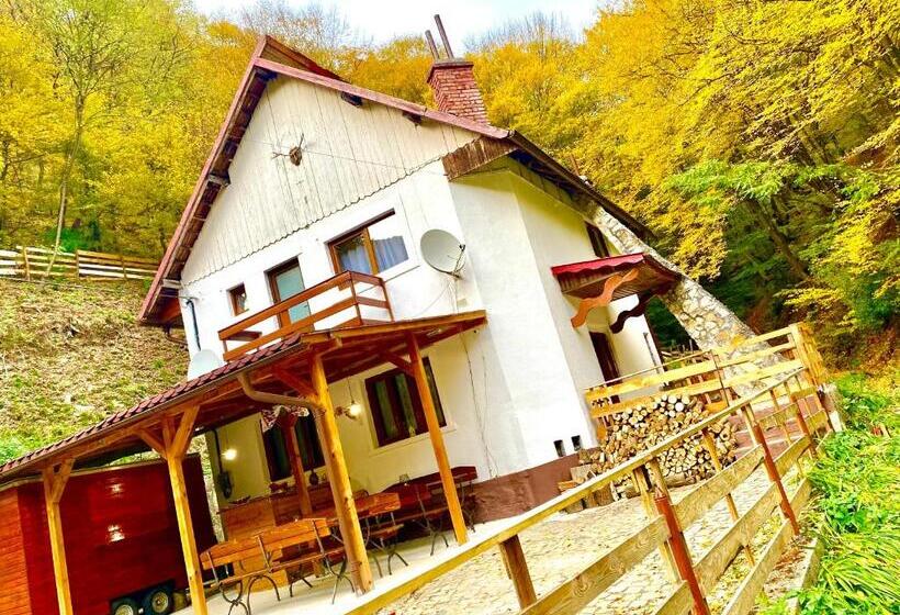 تختخواب و صبحانه Căsuța Din Pădure