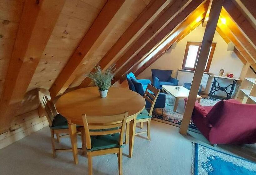 Gemütliche Ferienwohnung Auf 2 Etagen Mit Dachterrasse