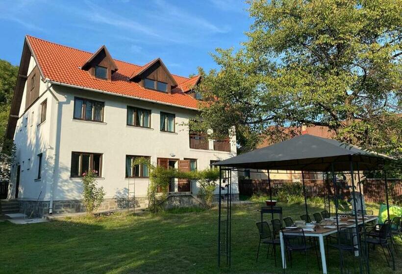 פנסיון Casa Bucataria Fonix