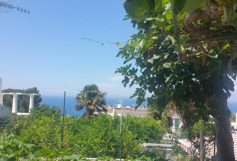 Villa Dei Fiori B&b