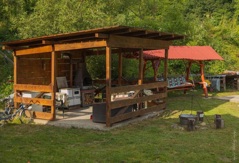 Cabana Amis