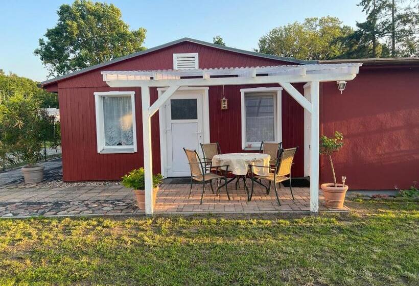 Ferienwohnung   Seebad Ueckermündeot Bellin