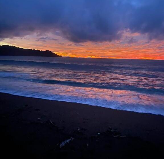 Пансион Hostal & Cabins Lidia S House, Forest And Ocean View