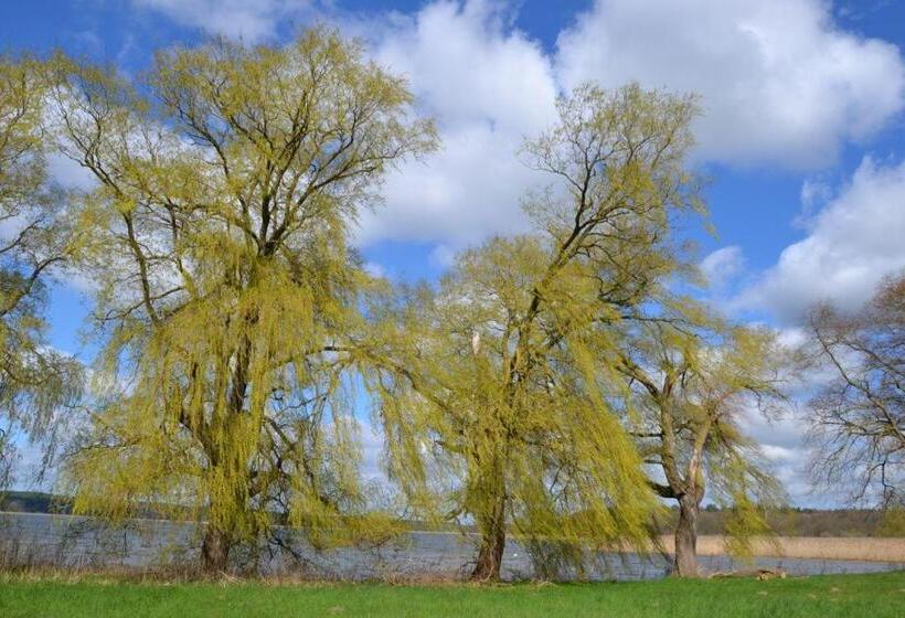 Storchennest