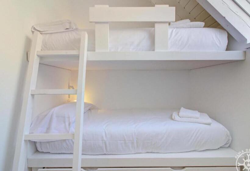 Blanhiblar De Alma De Nieve