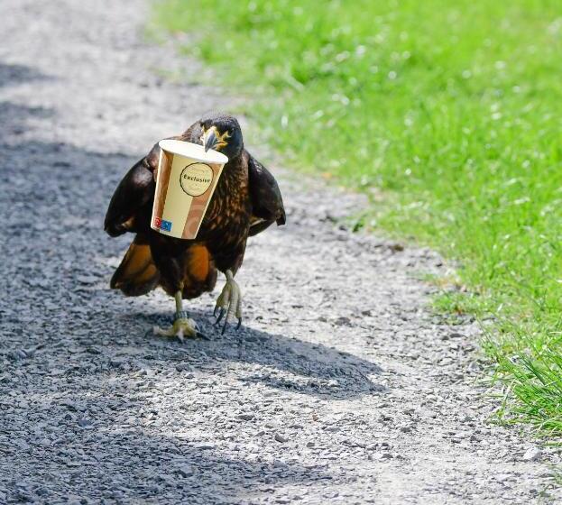 Der Eifel Perle Manderscheid
