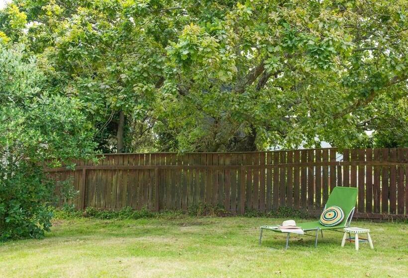 Vintage Pohutukawa   Whangamata Bach