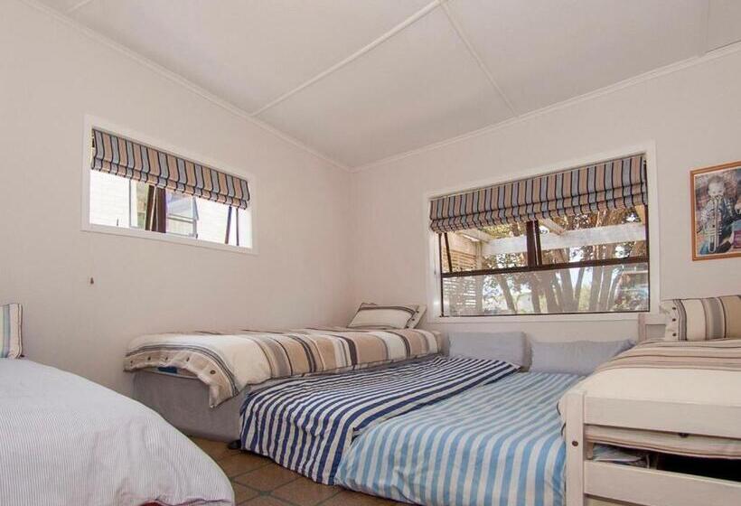 Vintage Pohutukawa   Whangamata Bach