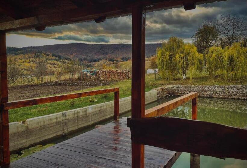 Căsuța Din Livezi
