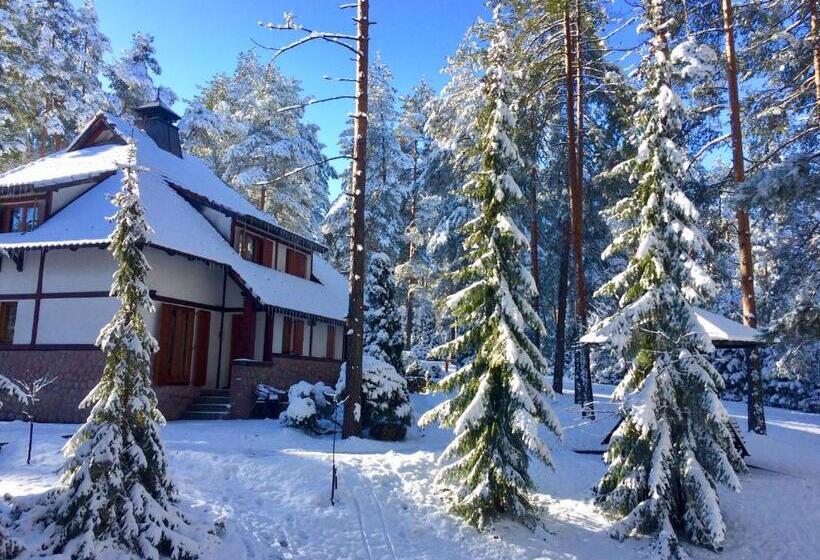 Kraljevi Konaci   Vila Zelena Dolina   Zlatibor