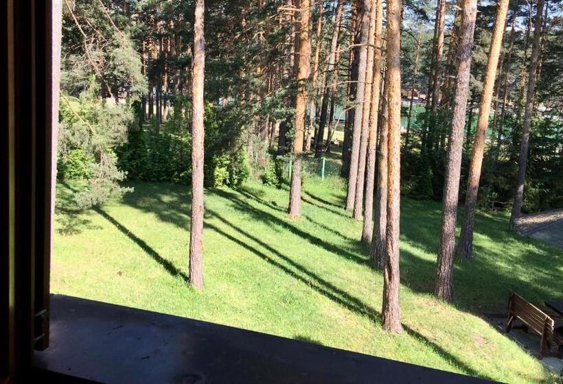 Kraljevi Konaci   Vila Zelena Dolina   Zlatibor