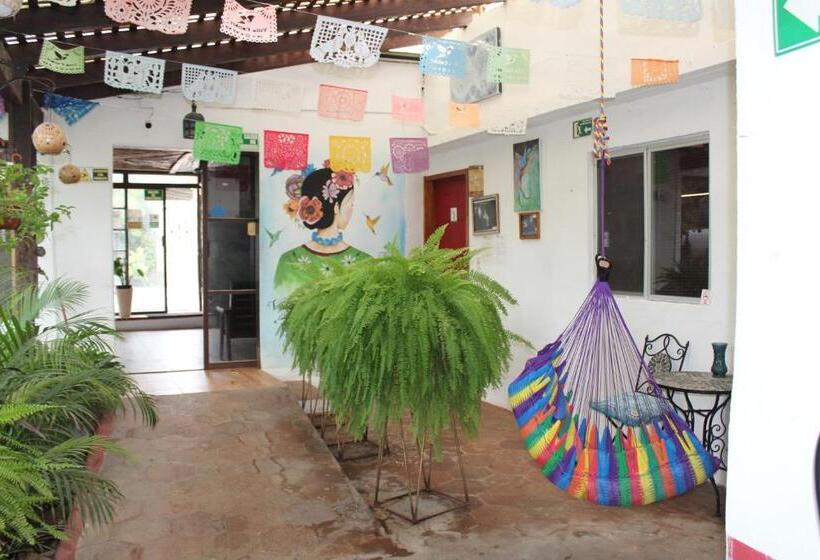 هتل Cabañas Colibrí