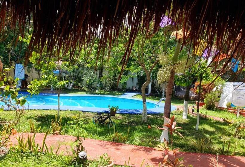 هتل Cabañas Colibrí