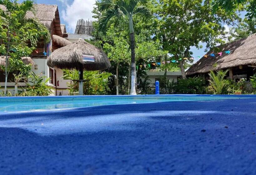 هتل Cabañas Colibrí