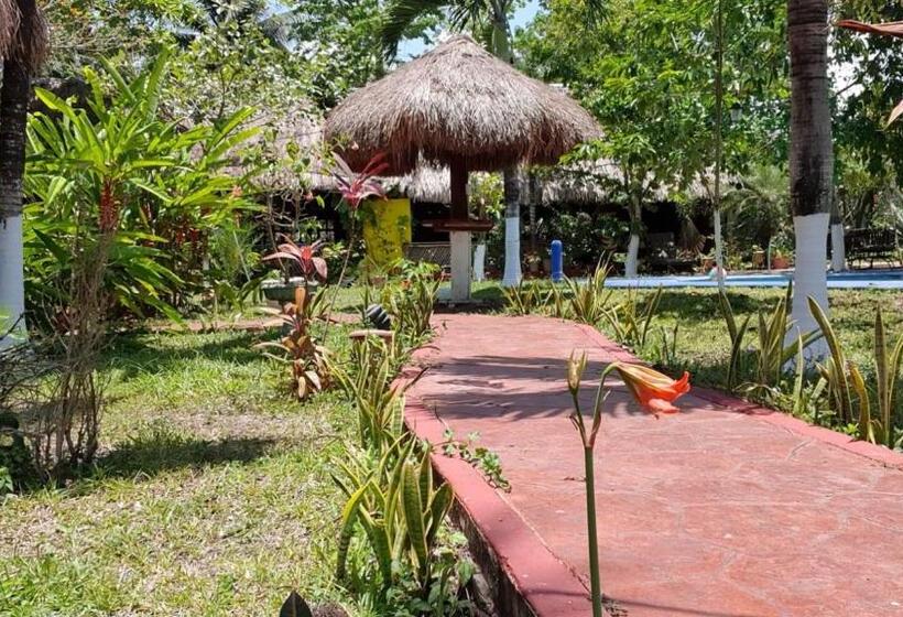هتل Cabañas Colibrí
