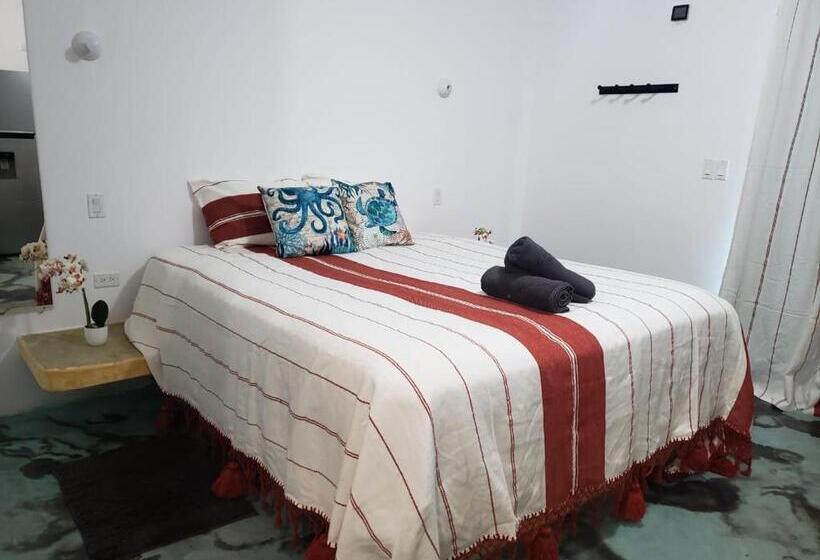 هتل Casa Arrecife   Dorado Suite, Fast Wifi & Balcony! Beach Is Steps Away!