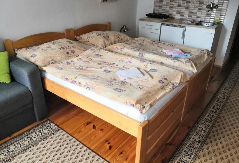 پانسیون Apartmány V Centru U Moravců