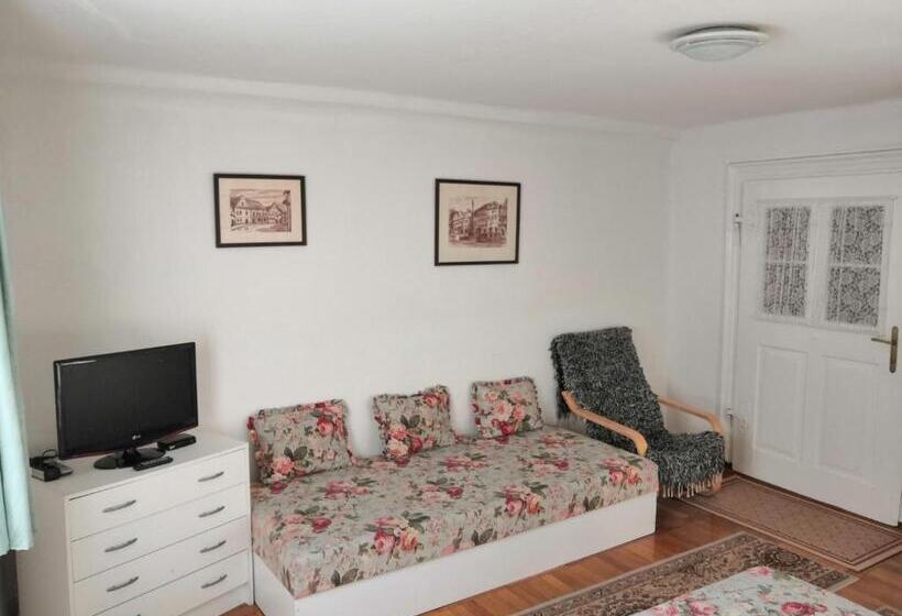 پانسیون Apartmány V Centru U Moravců