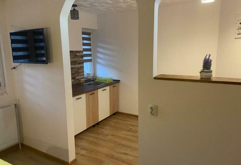 پانسیون Casa Shiro