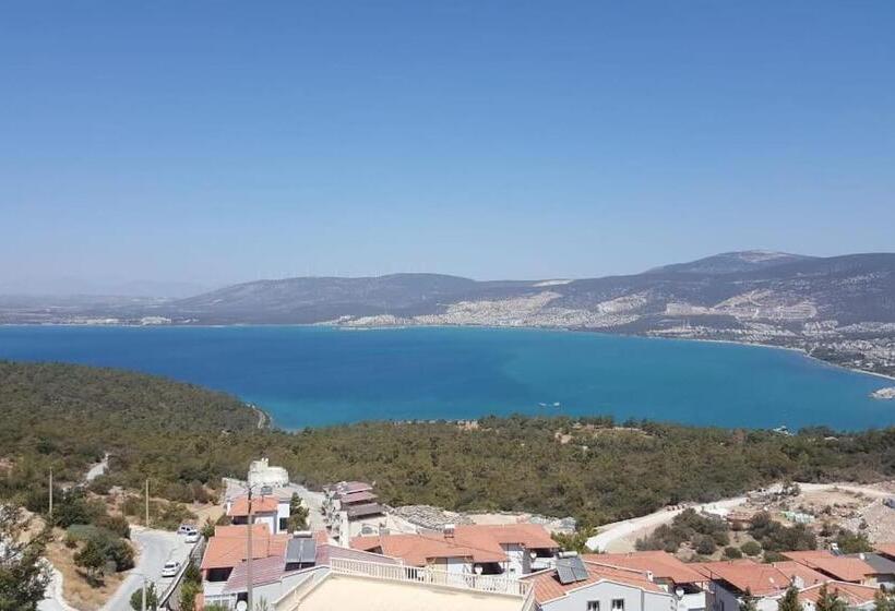 Dilbar Villa