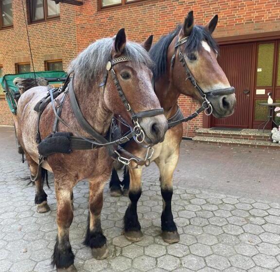 Ferienhaus Unter Reet Im Heidedorf Sankt Dionys Bei Lüneburg