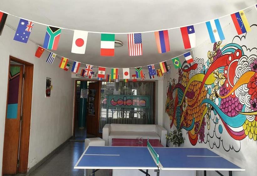 Coloria Hostel