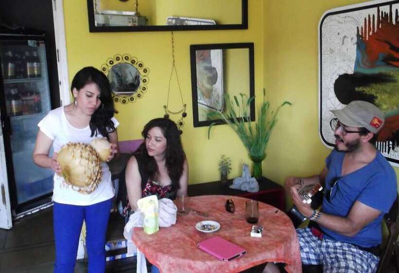 Hostel Joven Casa Reggae