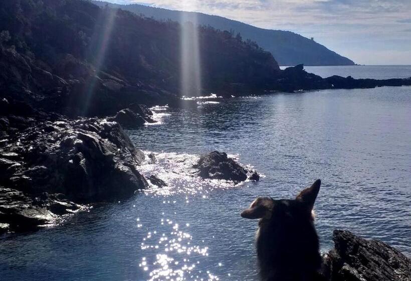 A Casa Di Marco Holiday Apartment