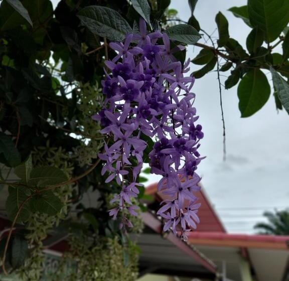 酒店 ชาลีรีสอร์ท ชุมพร