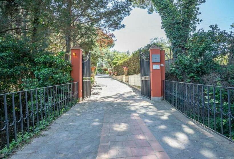Отель Agriturismo Buen Camino