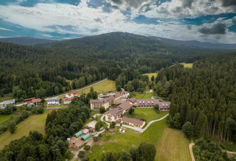 Отель Prime Resort Wastlsäge