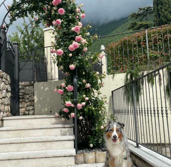 Bed and Breakfast Corte Caiar Bed&breakfast
