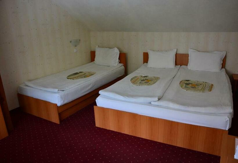 Pension къща славяни