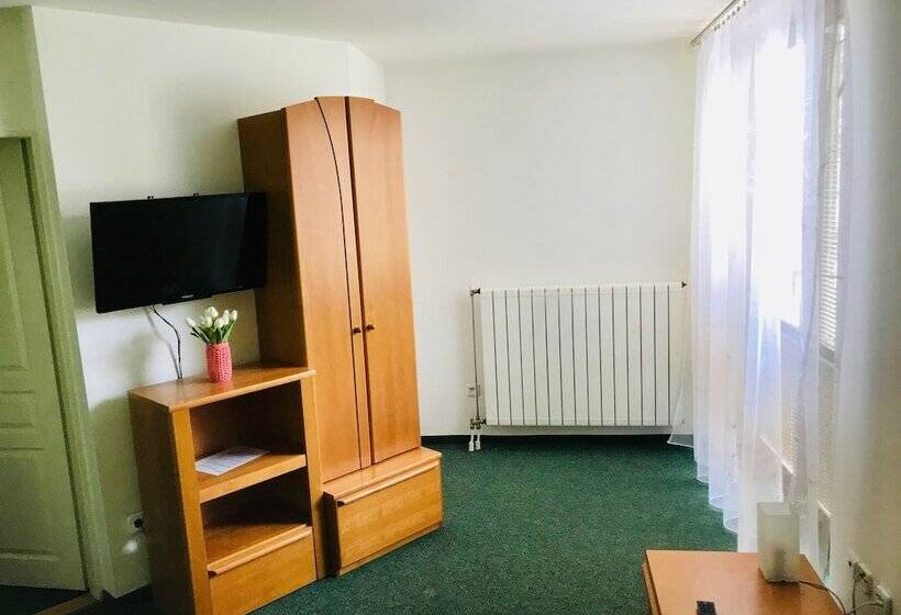 膳宿费 Penzion Jany