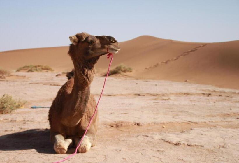هاستل Mhamid Auberge Saharaespace