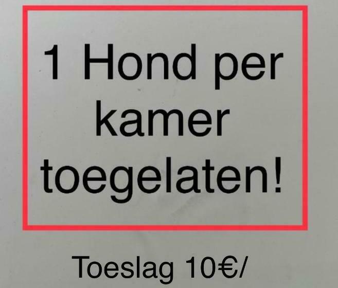 B&b De Notelaar