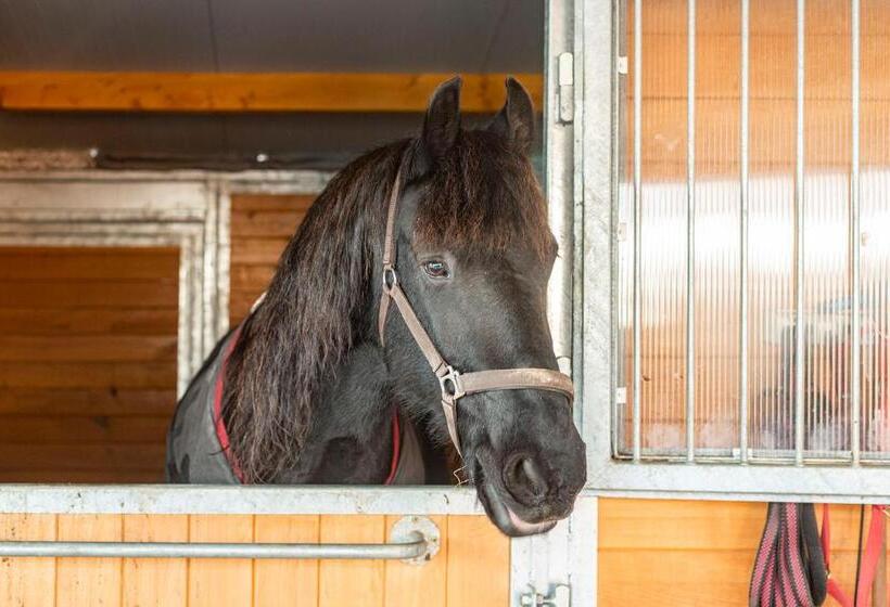 פנסיון Natali Vendégház és étterem Mátra