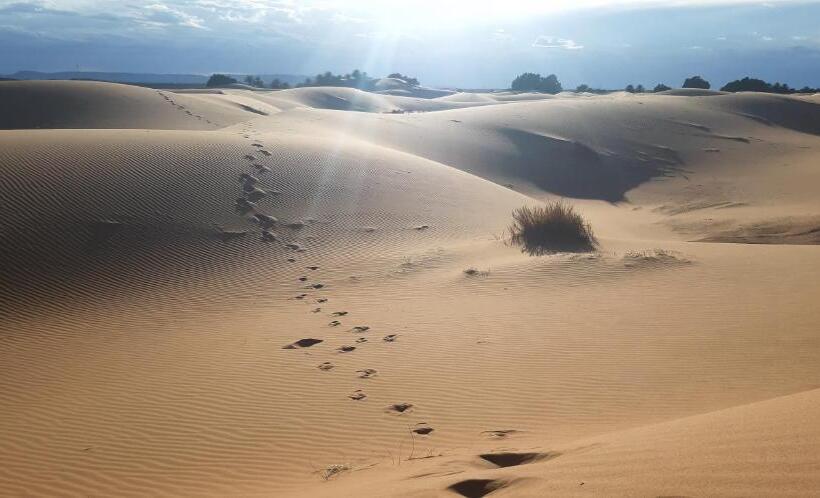 تختخواب و صبحانه Guests House