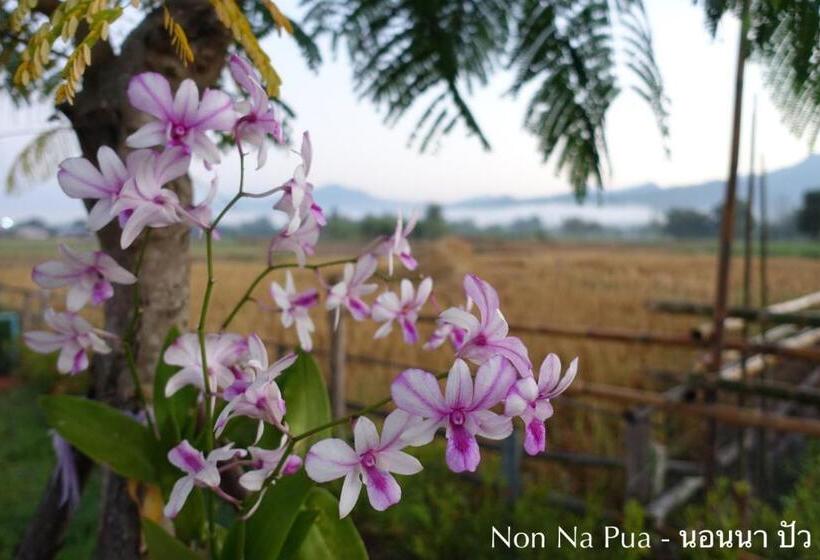 بنسيون Non Na Pua   นอนนา ปัว