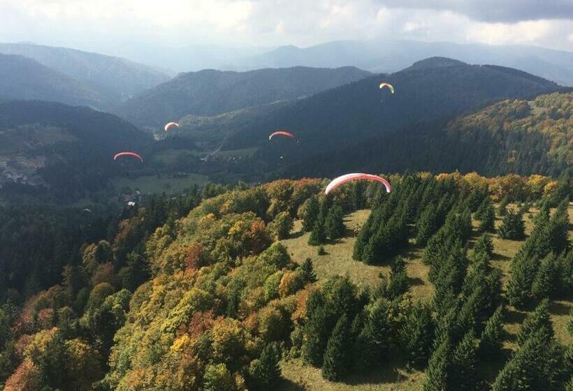 Ad šafrán č. 25