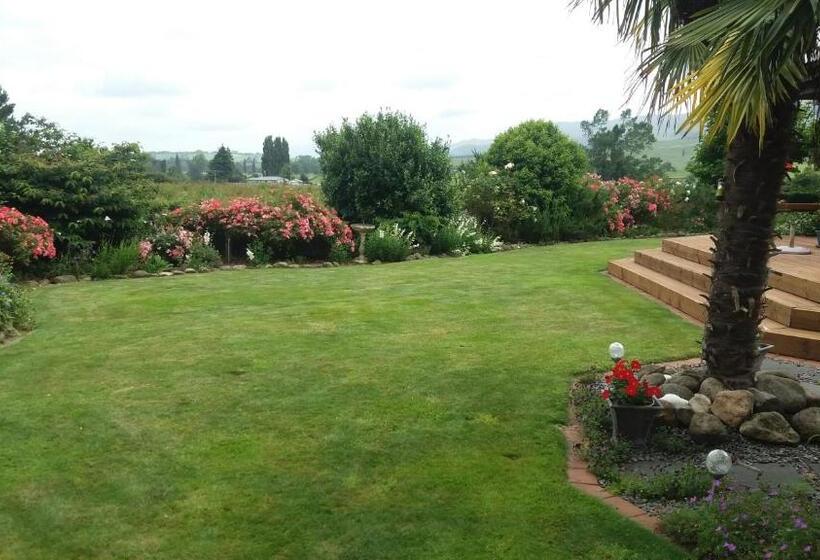 بنسيون Kaimai Sunset Bed & Breakfast