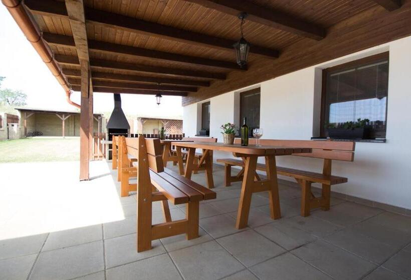 פנסיון Penzion A Vinařství Lelíkovi