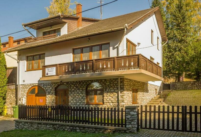 ペンション Villa Szilva Vendégház
