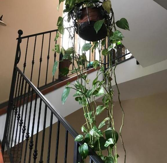 B&b La Magnolia