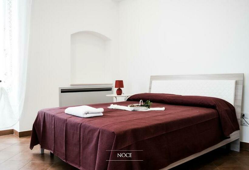 Bed and Breakfast Tenuta Vigna Del Noce
