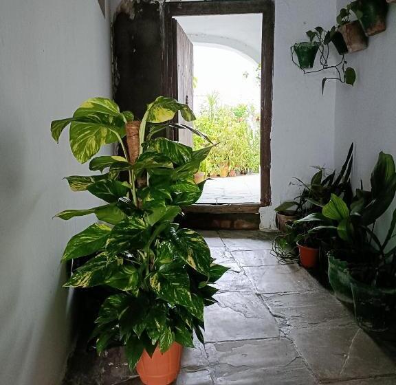 Casa Amalfi, Coqueta Casa Centro Histórico De Vejer