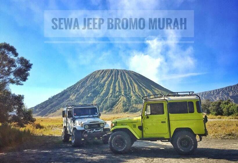 פנסיון Homestay Lereng Bromo