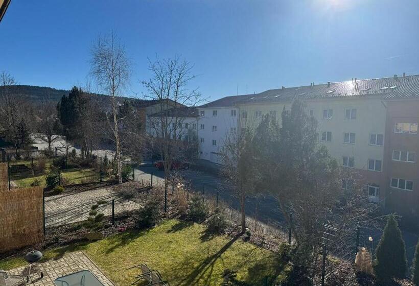 בית מלון כפרי Wellness & Spa Apartments Lipno Frymburk